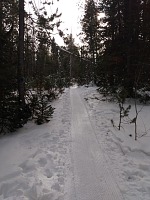 Ski area forest paths received their grooming. Ski area forest paths received their grooming.