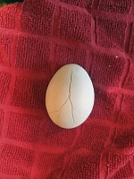 A frozen egg. A frozen egg.