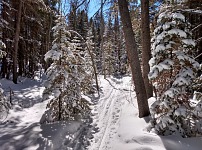 Another pretty snow cover. Another pretty snow cover.