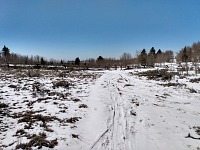 My secret nordic tracks have melted away. My secret nordic tracks have melted away.