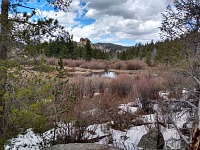 Beavers are busy building dams. Beavers are busy building dams.
