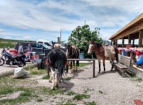 Parking in front of Bunkhouse. Parking in front of Bunkhouse.