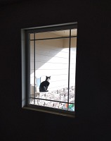 Hugo (finally) outside.