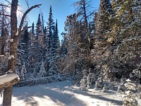 First powder fell on my Nordic track, not ready yet for skiing. First powder fell on my Nordic track, not ready yet for skiing.