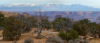 La Sal Mountains. La Sal Mountains.