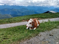 How do you know you're in the Alps? How do you know you're in the Alps?