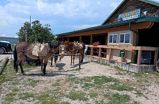 Bunkhouse nabízí kulturní zakončení sportovního výkonu.