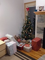 Vánoce byly logisticky komplikované - ale i letos přišly. Vánoce byly logisticky komplikované - ale i letos přišly.
