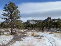 Another walk in Curt Gowdy Park. Another walk in Curt Gowdy Park.