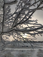 Frozen rain. Frozen rain.