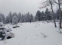Eventually it snowed. Eventually it snowed.