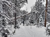Tom accompanied me on Nordic skis. Tom accompanied me on Nordic skis.