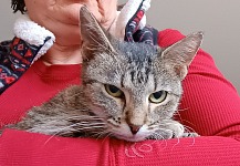 After surgery - for the first and last time Dante lets me hold her.