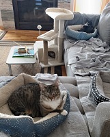 Sometimes they manage to occupy all three the same room.