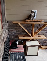 Hugo and Guido hide from Dante in a spot where she won't go - outdoors.