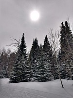 Wintery shiver.