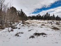Snow held even on the ridge.