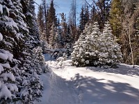 Sunny weather is beautiful, but snow is melting away.