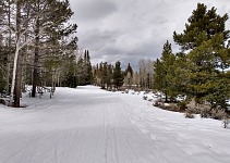 Last Nordic skiing March 31.