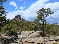 He also invaded Van Horn Ridge in our National Forest. He also invaded Van Horn Ridge in our National Forest.