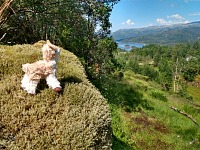 Expedice Fossen: llama obdivuje údolí Vassdalen a stejnojmenné ostrůvky. Expedice Fossen: llama obdivuje údolí Vassdalen a stejnojmenné ostrůvky.