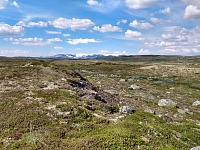 Hardangervidda je jak mokrý Wyoming