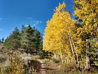 Fall colors. Fall colors.