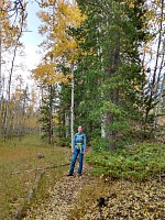 Hunting mushrooms at Crow Creek. Hunting mushrooms at Crow Creek.