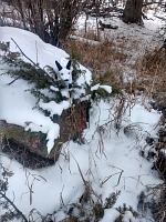 Šípky ve sněhu. Šípky ve sněhu.