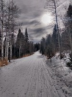 První výlet na běžky. První výlet na běžky.