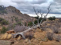 Krajina ovšem vánočně vůbec nevypadá, není sníh. Krajina ovšem vánočně vůbec nevypadá, není sníh.