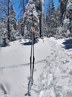 Ani nevadilo, že jsem konec musela odšlapat pěšky. Ani nevadilo, že jsem konec musela odšlapat pěšky.