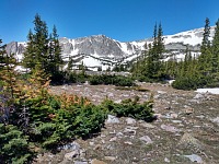 When trails are unreachable, one must scale the landscape.