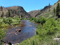 North Platte River: different, greener spot.