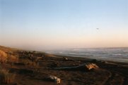 Fort Dick beach, CA