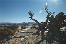 Eagle Canyon