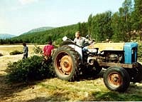 Fordson Fordson