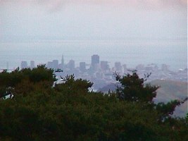 The City. The City.