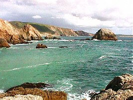 Cliffs and rocks of McClures Beach