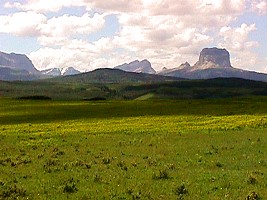 Chief Mountain in background