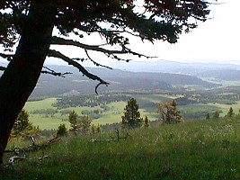 Peaceful lanscape of Little Belt Mountains