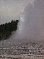 Yellowstone: Old Faithful Geyser