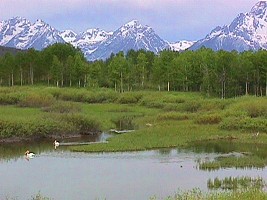 National Park Grand Teton