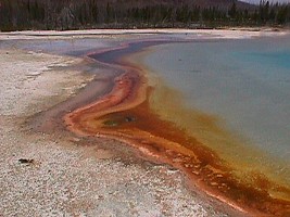 Yellowstone: hot spring at West Thumb